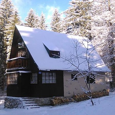 גולובינקה Enchanted Forest Chalet מראה חיצוני תמונה
